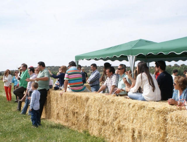 Observando el espectaculo en la finca